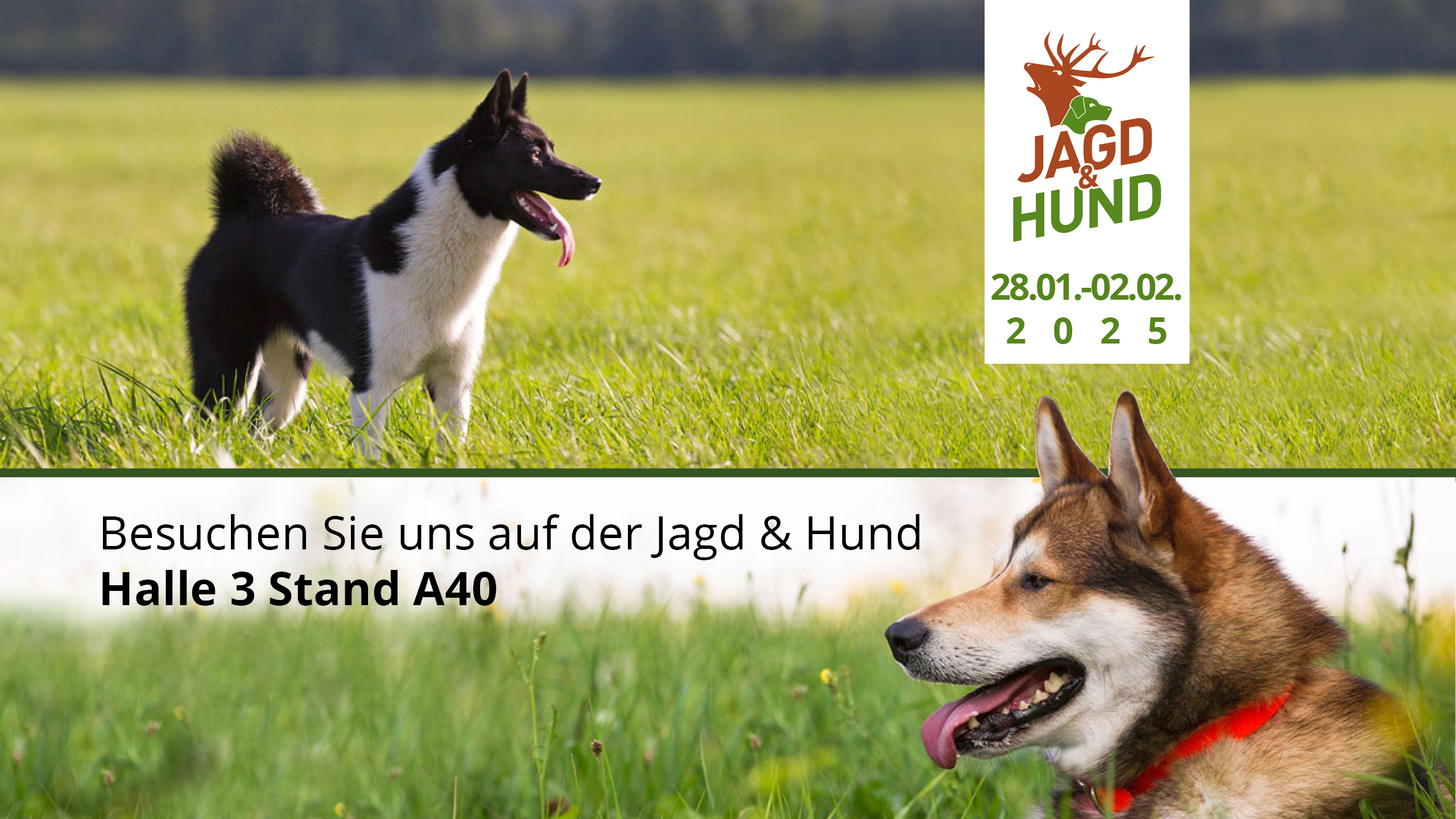Besuchen Sie uns am Stand A40 in Halle 3.